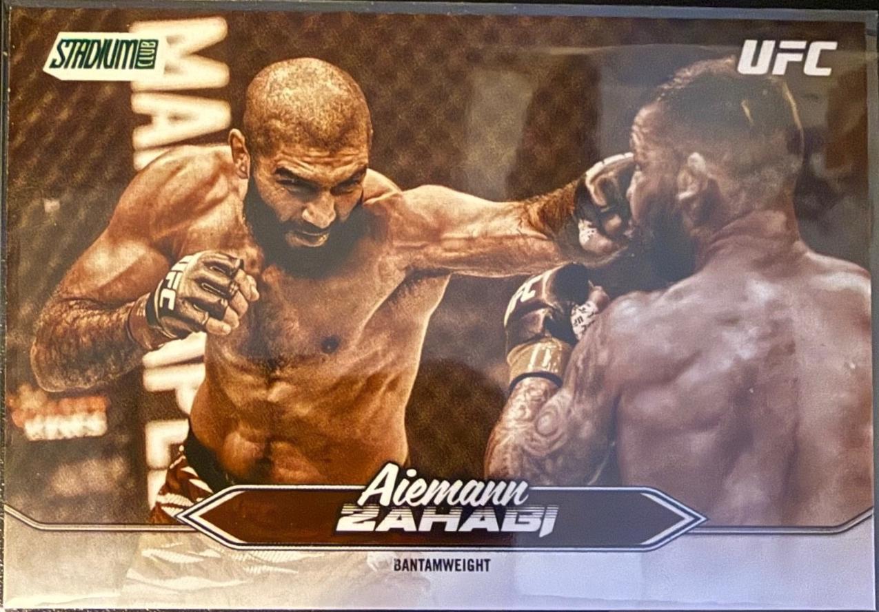 Aiemann Zahabi [Sepia] #115