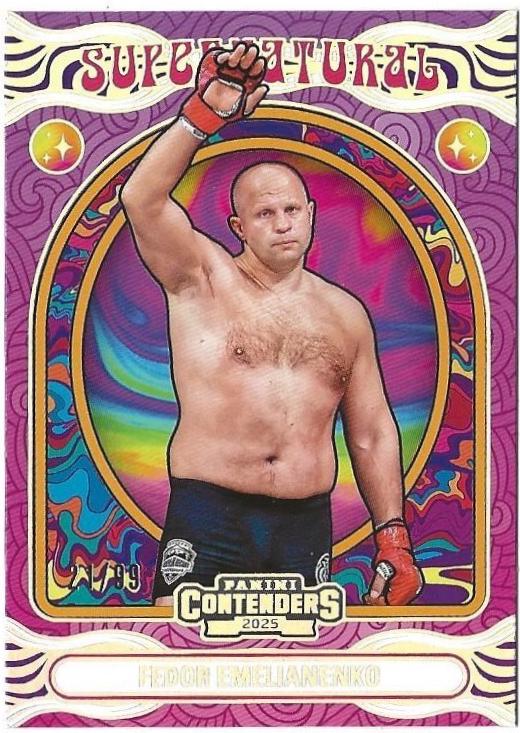 Fedor Emelianenko #7