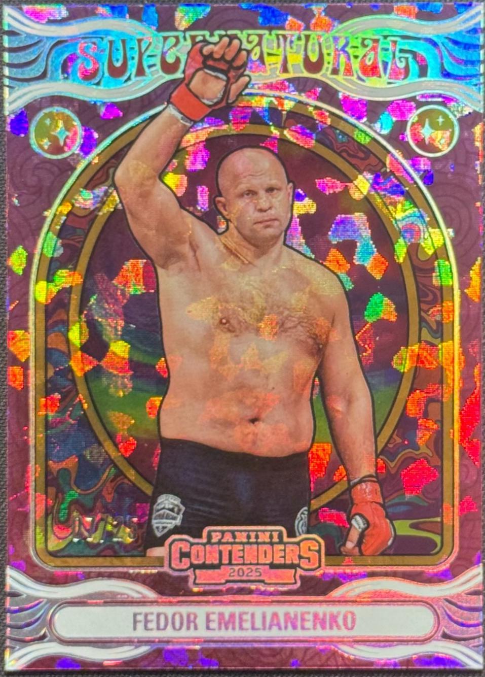 Fedor Emelianenko [Cracked Ice] #7