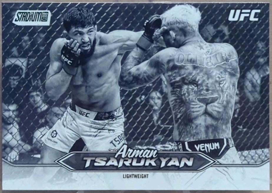 Arman Tsarukyan [Black White] #154