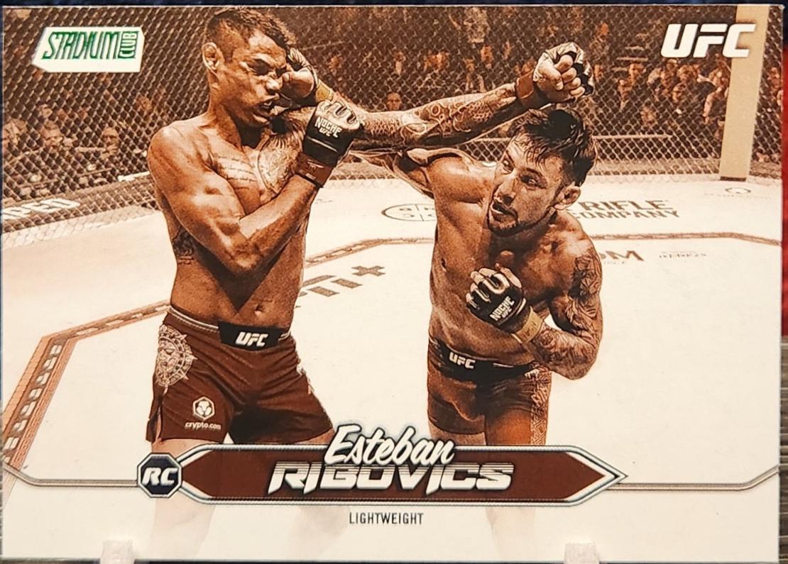 Esteban Ribovics [Sepia] #186