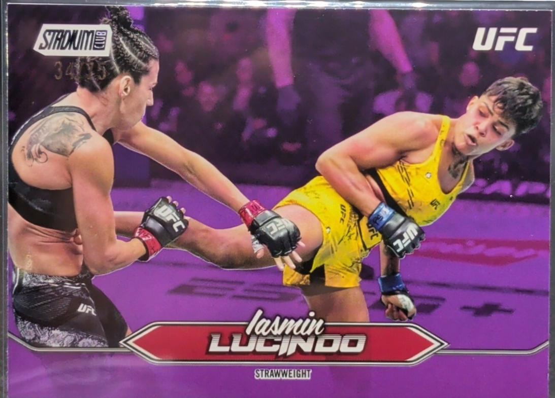 Iasmin Lucindo [Purple] #101