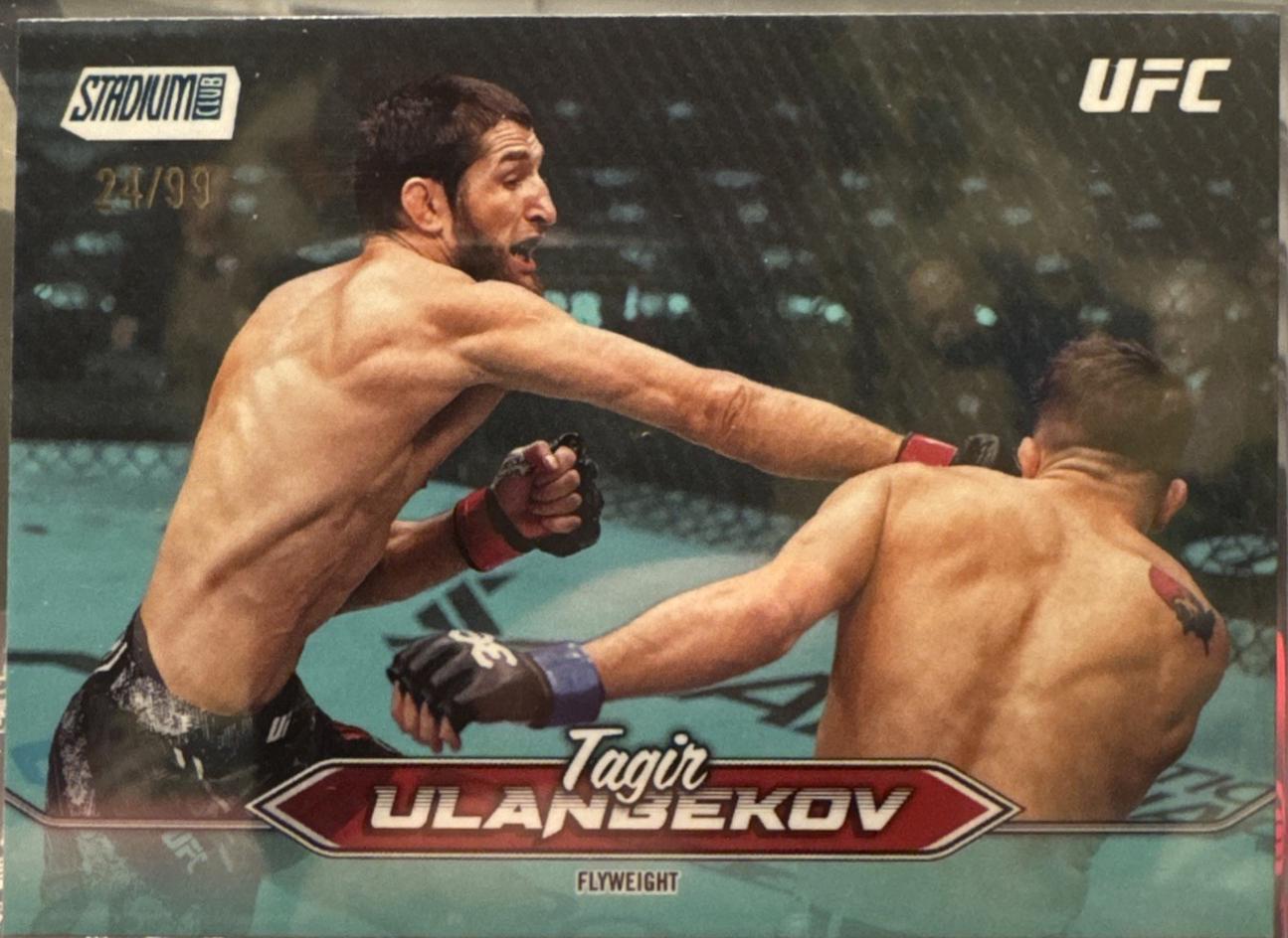 Tagir Ulanbekov [Turquoise] #22