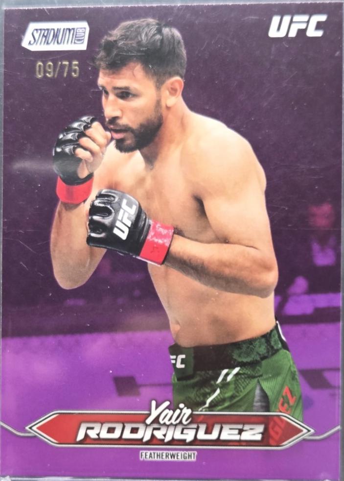 Yair Rodriguez [Purple] #110