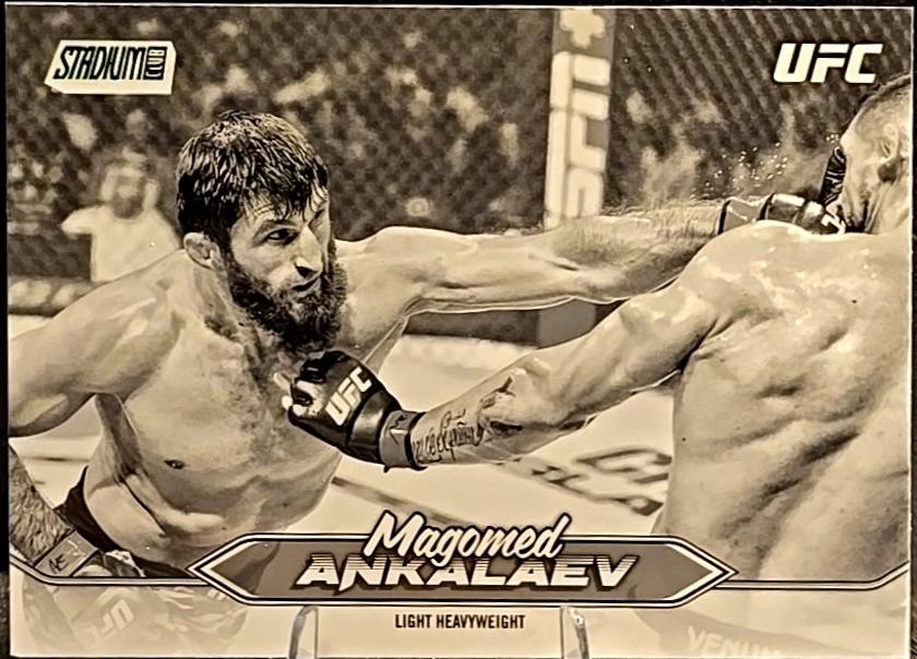 Magomed Ankalaev [Black White] #177