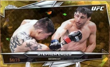 Stephen Erceg [Sapphire] #186