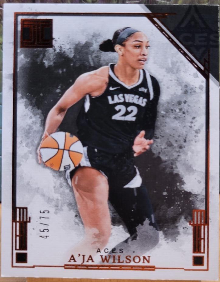 A'ja Wilson #42