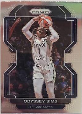 Odyssey Sims #102