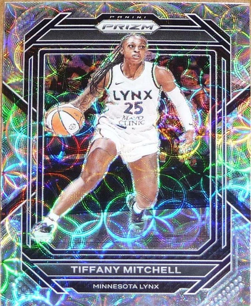 Tiffany Mitchell [Premium Box Set] #82