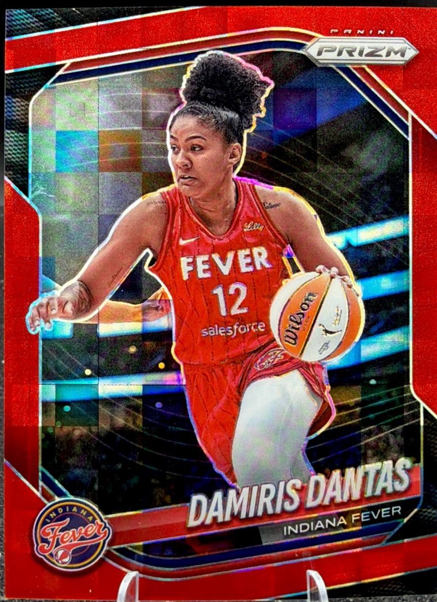 Damiris Dantas [Red Pandora] #42