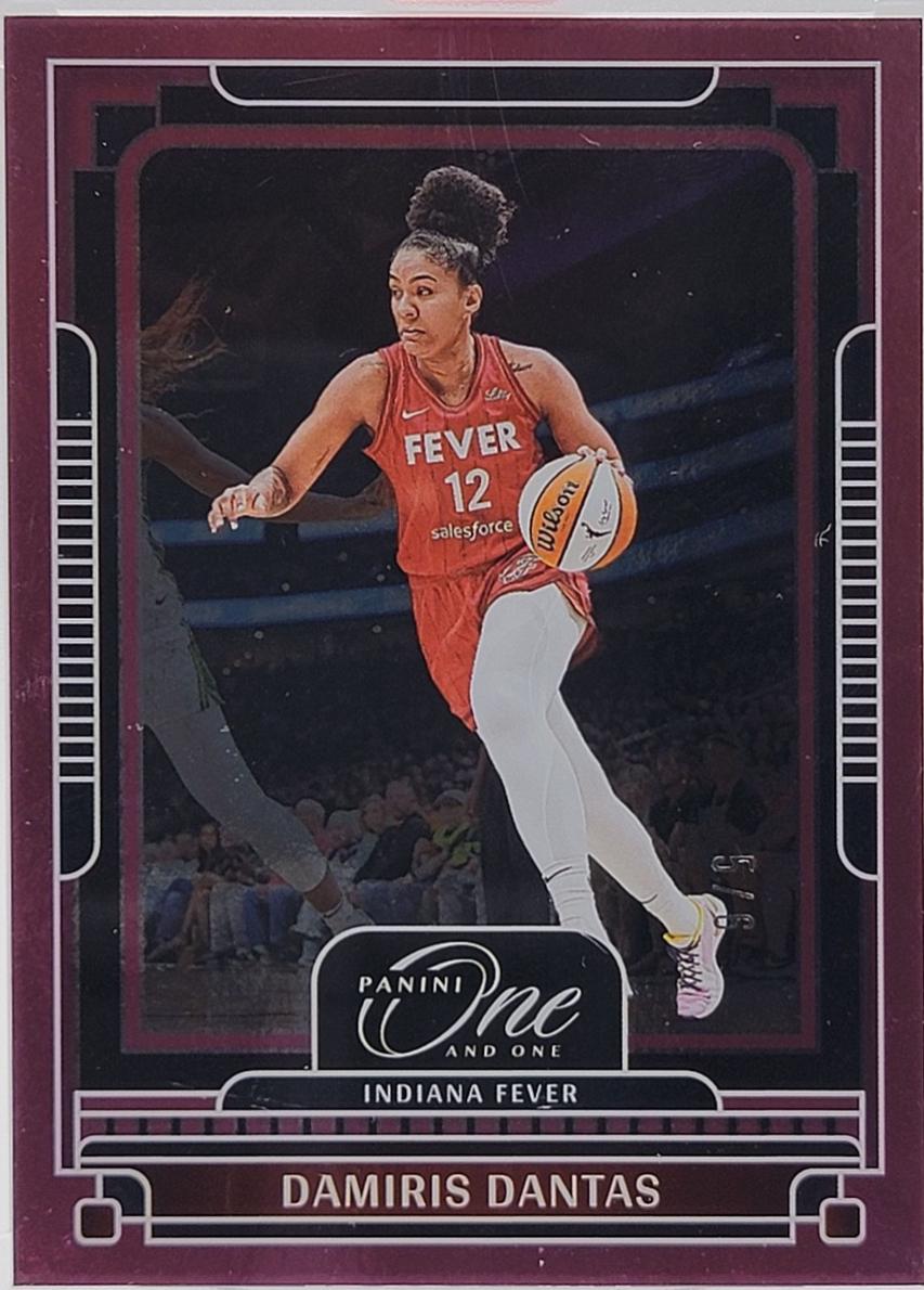 Damiris Dantas [Pink] #100