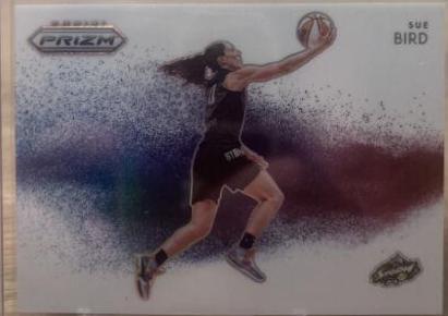Sue Bird #4