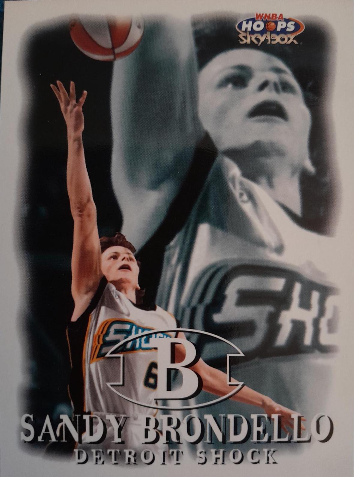 Sandy Brondello #41