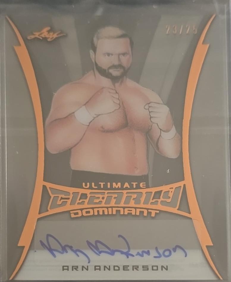 Arn Anderson #CD-AA1