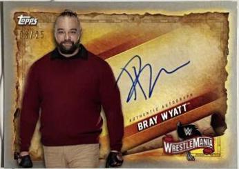 Bray Wyatt [Silver] #A-BW