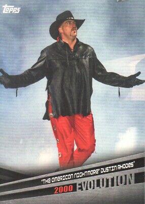 The American Nightmare' Dustin Rhodes #E-19