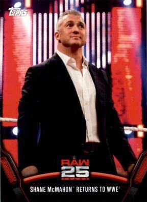 Shane McMahon #RAW-43