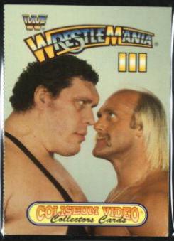 Hulk Hogan, Andre the Giant