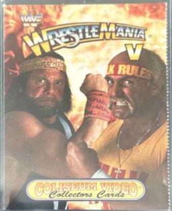 Hulk Hogan, Macho Man Randy Savage