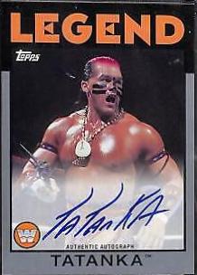 Tatanka [Silver]