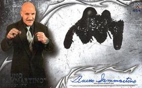 Bruno Sammartino
