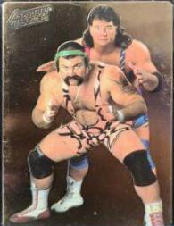 Steiner Brothers #41