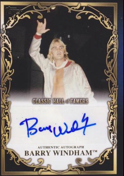 Barry Windham #2