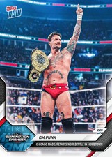 CM Punk #23