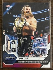 Sami Zayn #33