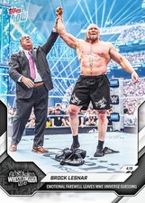 Brock Lesnar #45