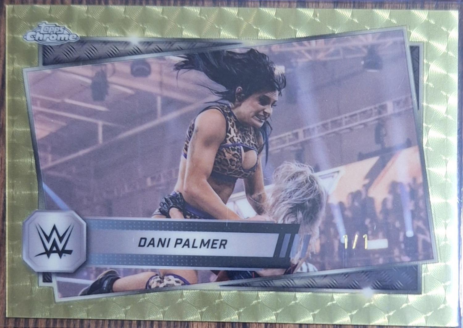 Dani Palmer [Superfractor] #138