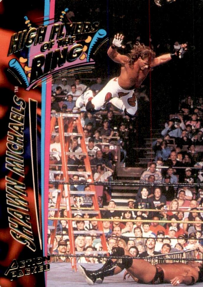Shawn Michaels #38
