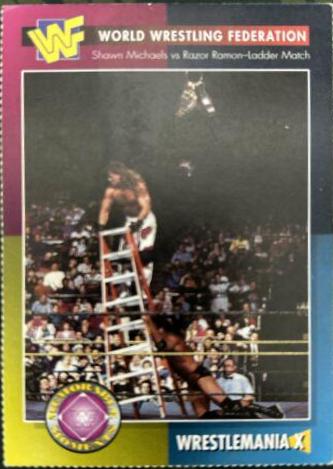 WrestleMania X [Michaels vs Ramon Ladder Match] #2