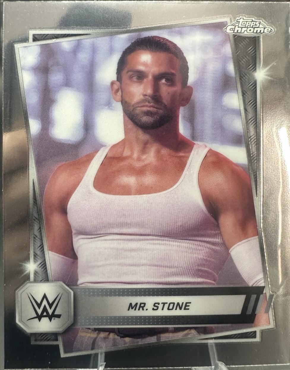 Mr. Stone #173