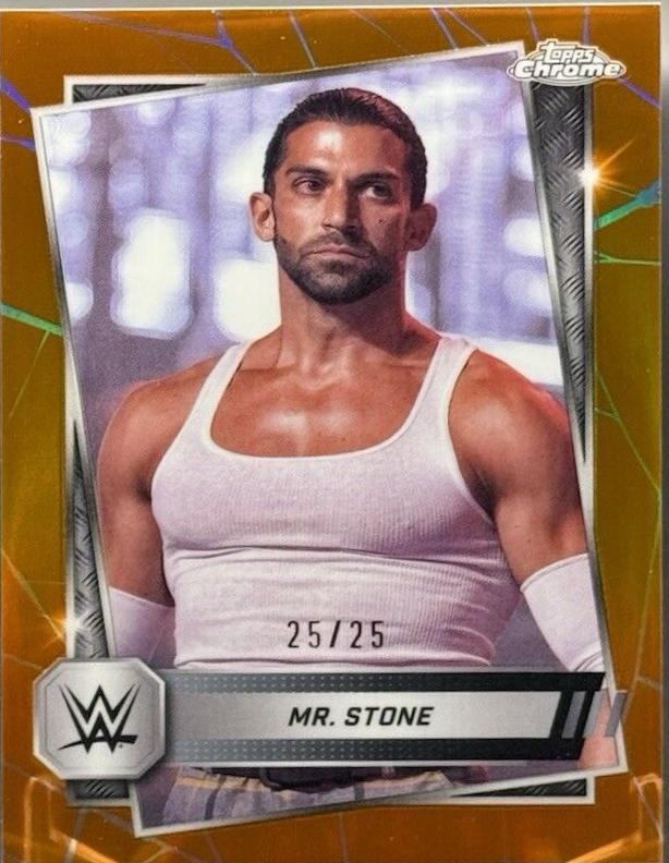 Mr. Stone [Orange Refractor] #173