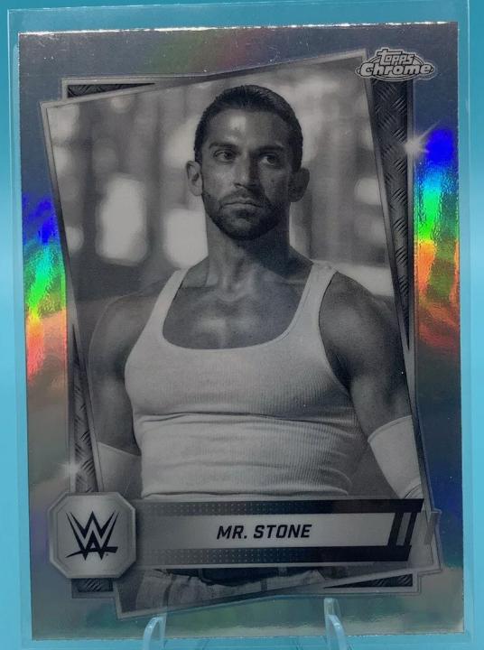 Mr. Stone [Sepia Refractor] #173
