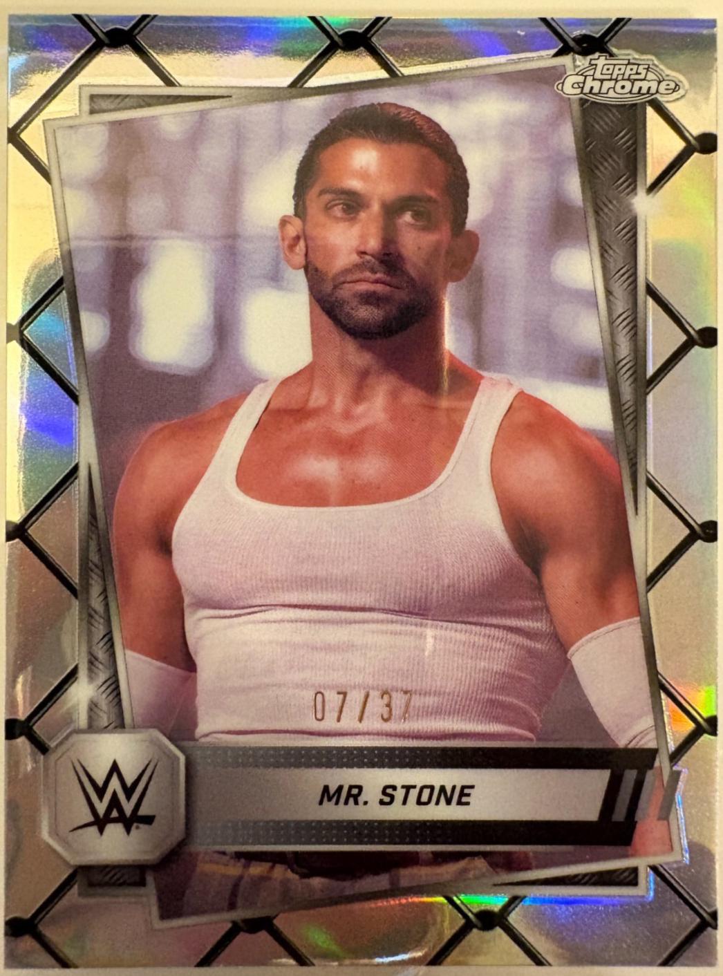Mr. Stone [Steel Cage Refractor] #173