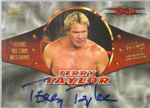 Terry Taylor