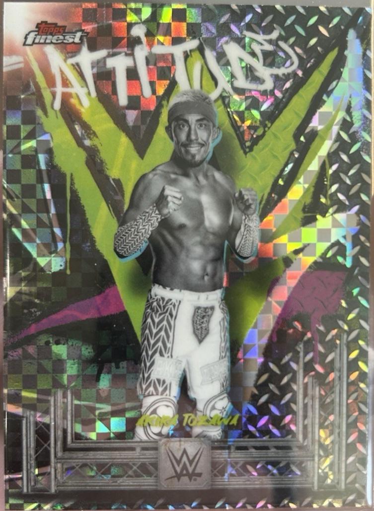 Akira Tozawa #231