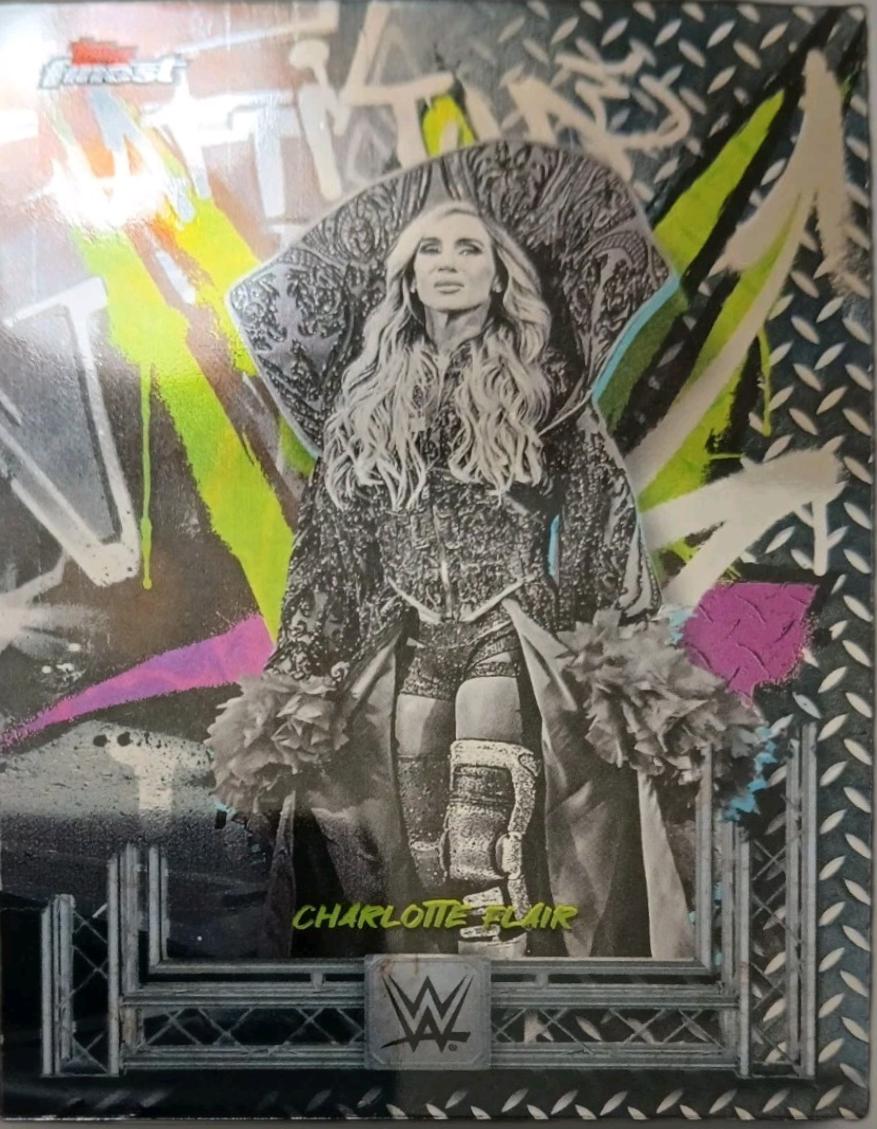 Charlotte Flair #206