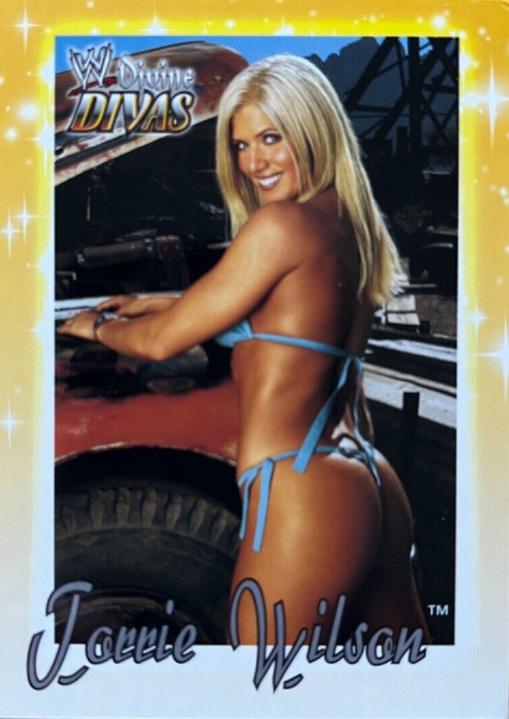 Torrie Wilson #35