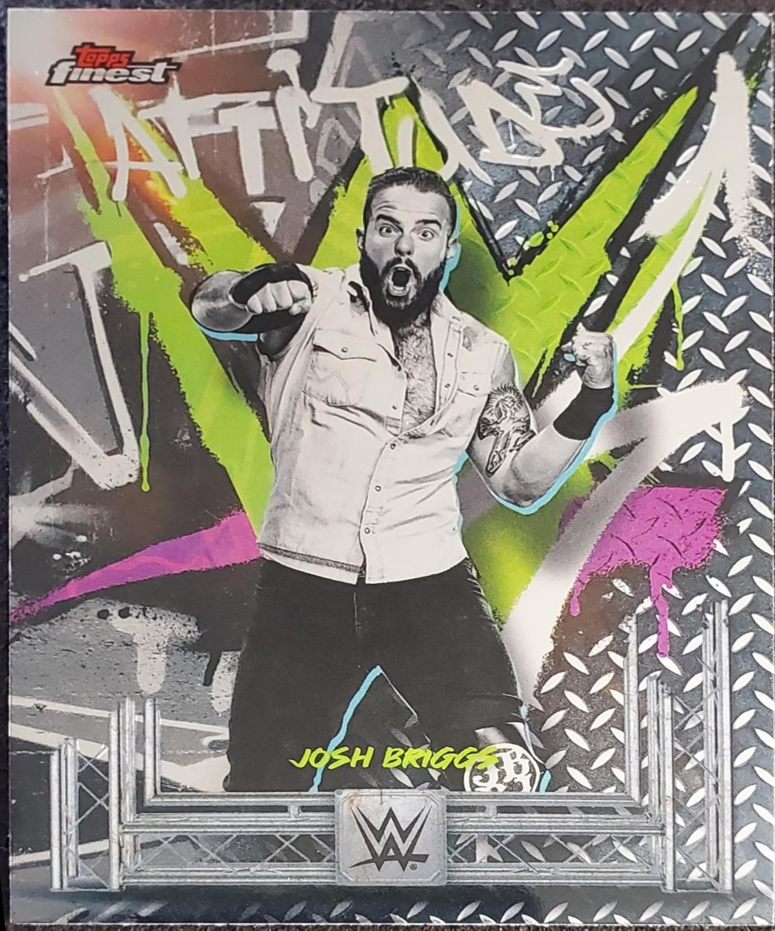 Josh Briggs #234