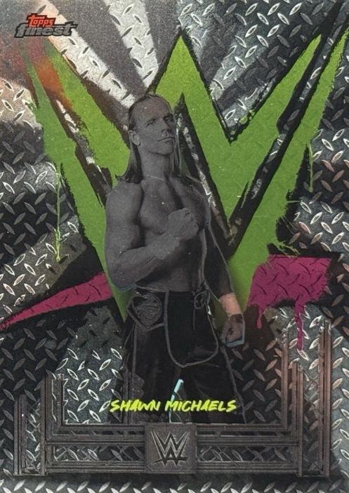 Shawn Michaels #4