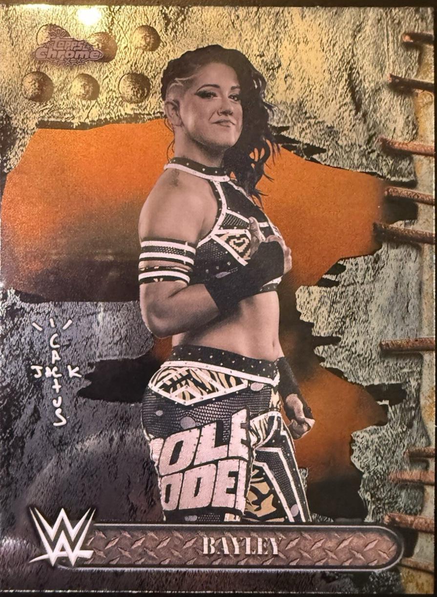 Bayley #47