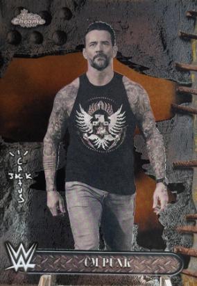 CM Punk #8