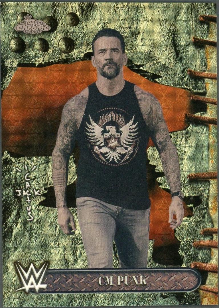 CM Punk [SuperFractor] #8