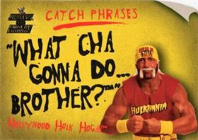Hollywood Hulk Hogan #12CP