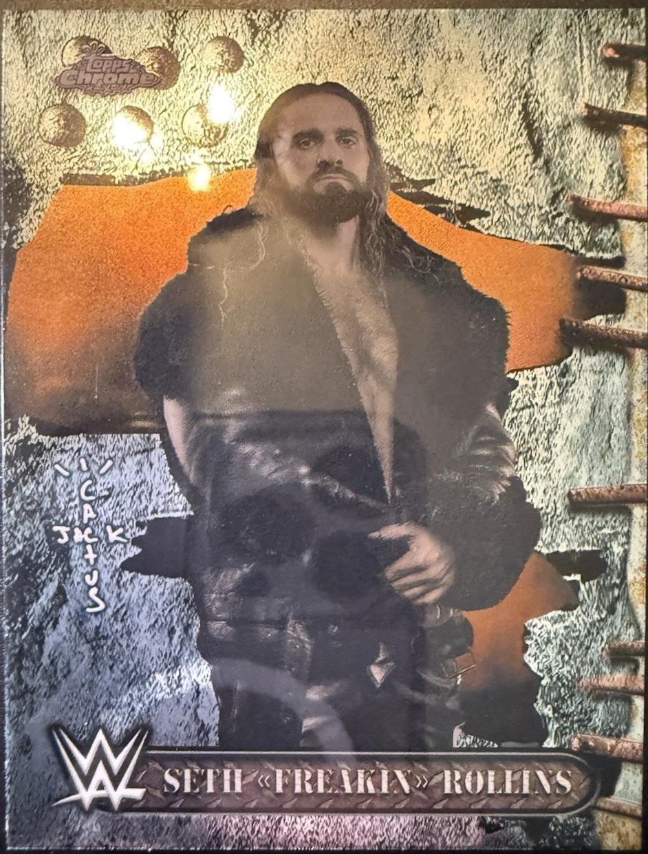 Seth Freakin Rollins #17