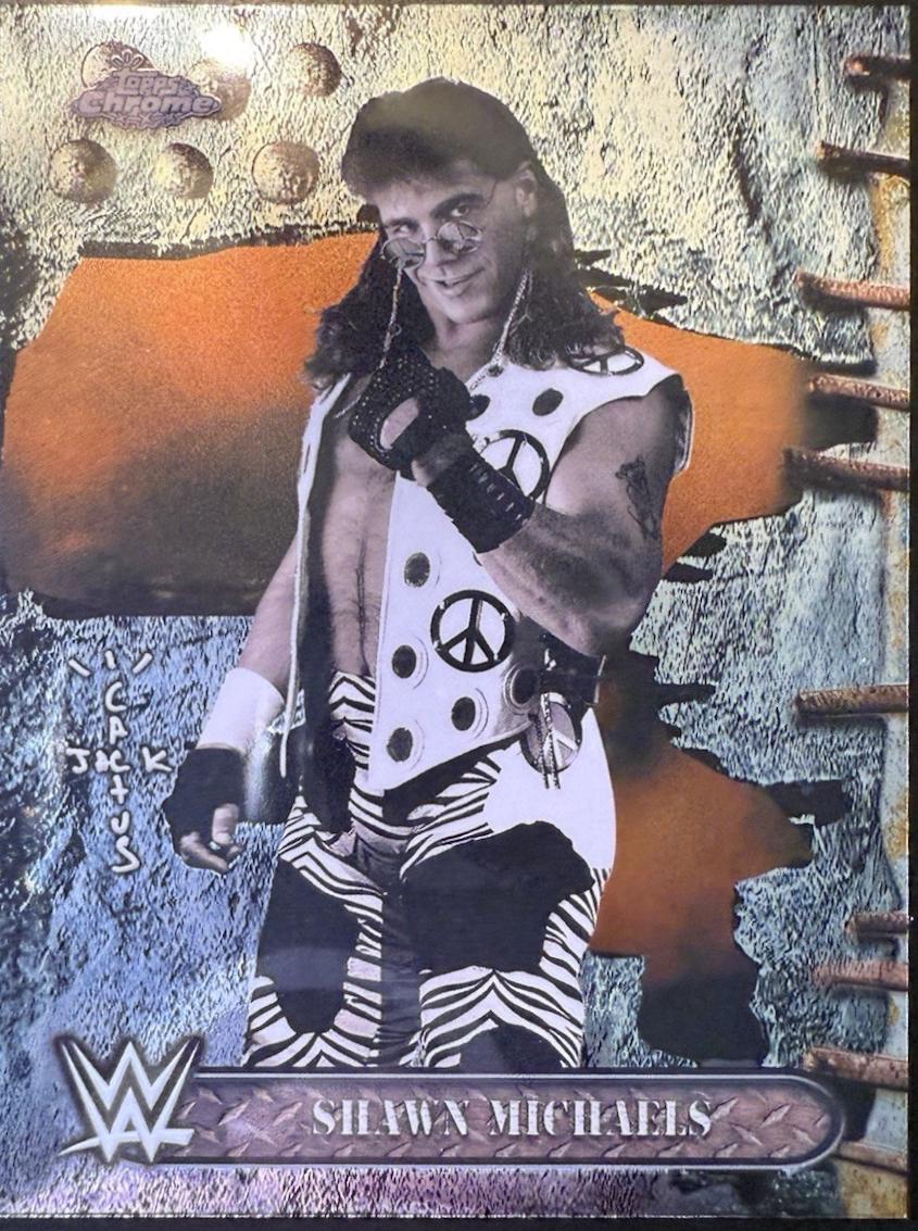Shawn Michaels #80