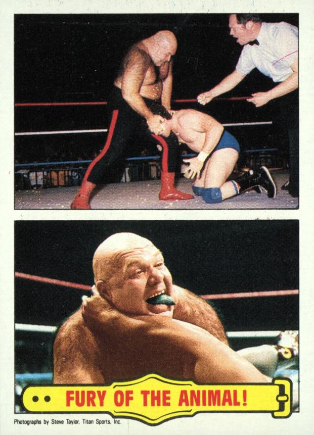 Fury Of The Animal #55